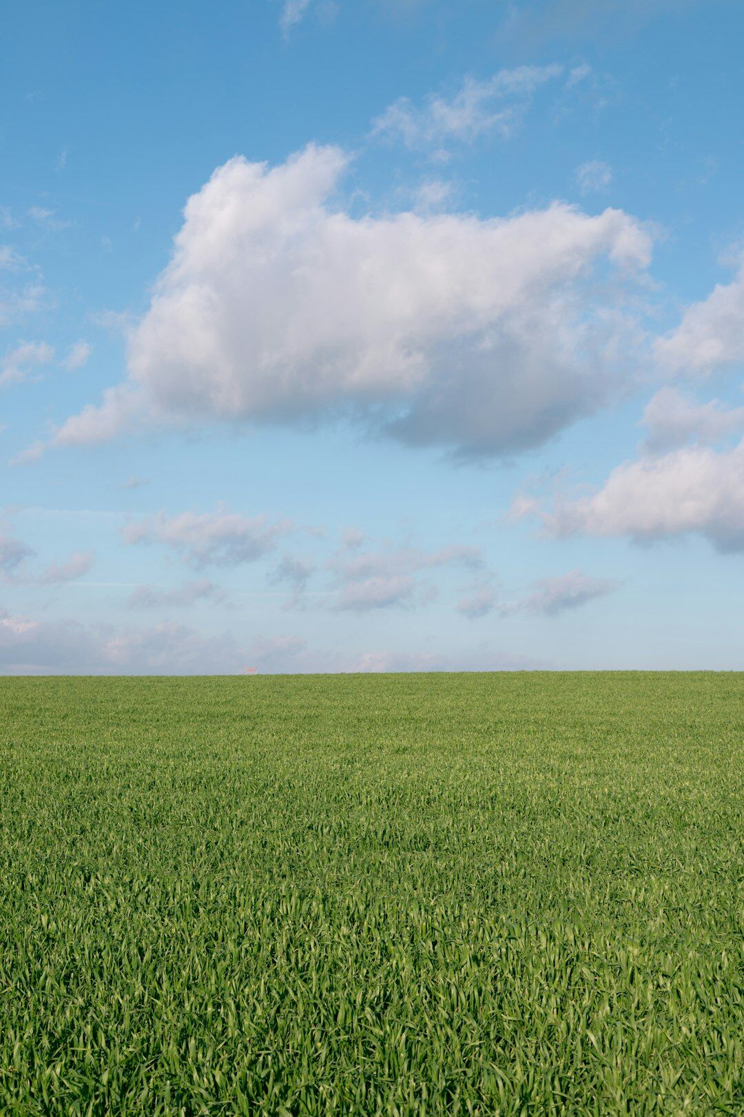 Green agricultural fields under a wide sky